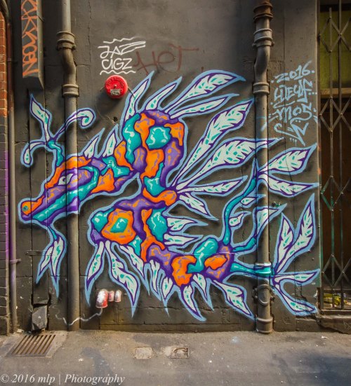 Street Art, Flinders Crt, Melbourne CBD, Victoria